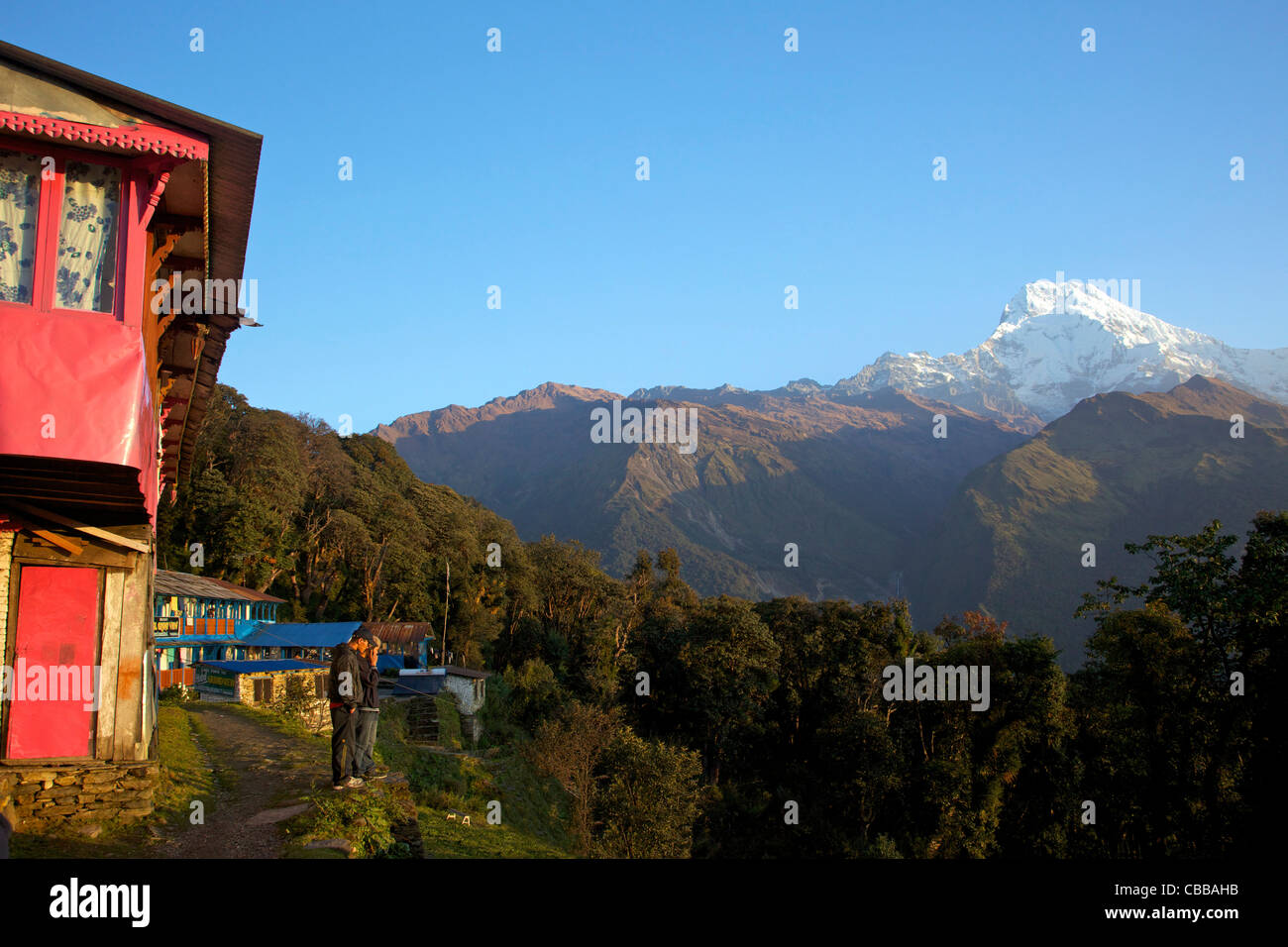 Tadapani und Annapurna South, Annapurna Sanctuary Region, Nepal, Asien Stockfoto