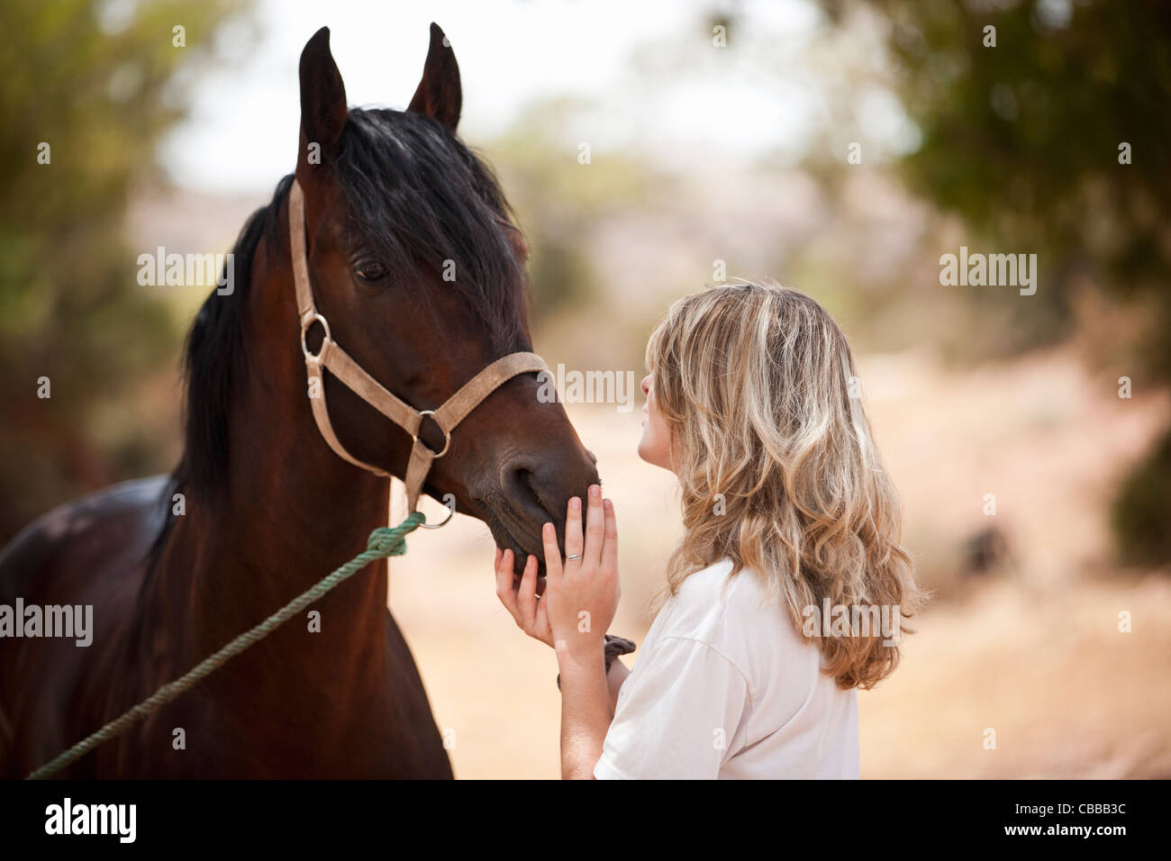 Eine junge Frau, die ein Pferd streicheln Stockfoto