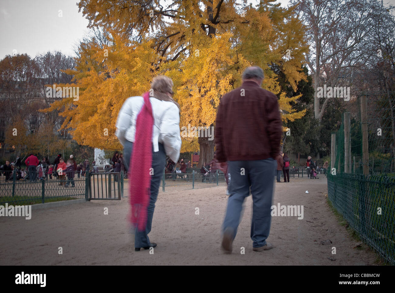 Ginkgo Biloba Baum, Parc Monceau im Herbst, Passanten. Stockfoto