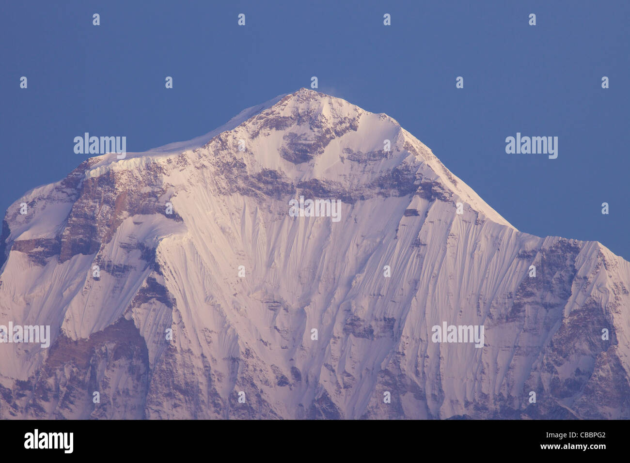 Zeigen Sie in der Morgendämmerung des Dhaulagiri von Poon Hill, Annapurna Sanctuary Region, Himalaya, Nepal, Asien an Stockfoto