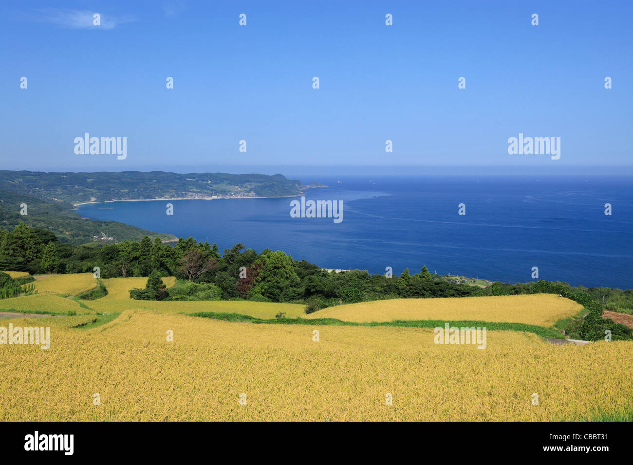 Higashi Ushirobata Reihenhaus, Feld, Nagato, Yamaguchi, Japan