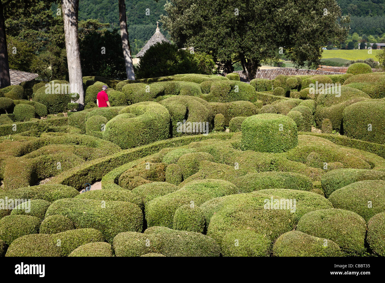 Formgehölze in hängender Garten von Marqueyssac, Dordogne, Frankreich Stockfoto