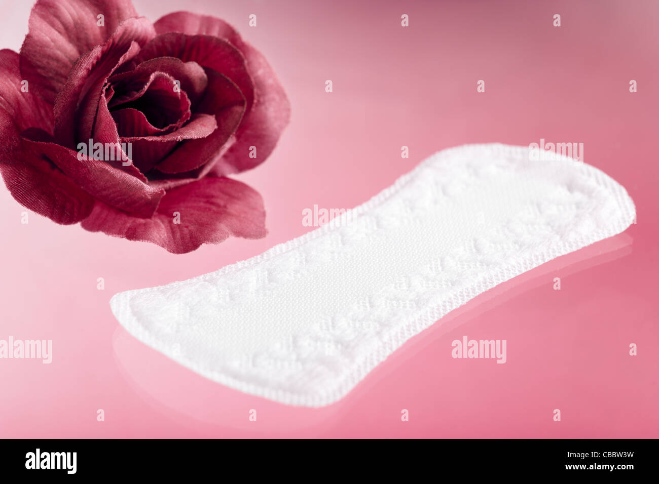 Slipeinlage mit Rose auf rosa Hintergrund Stockfoto