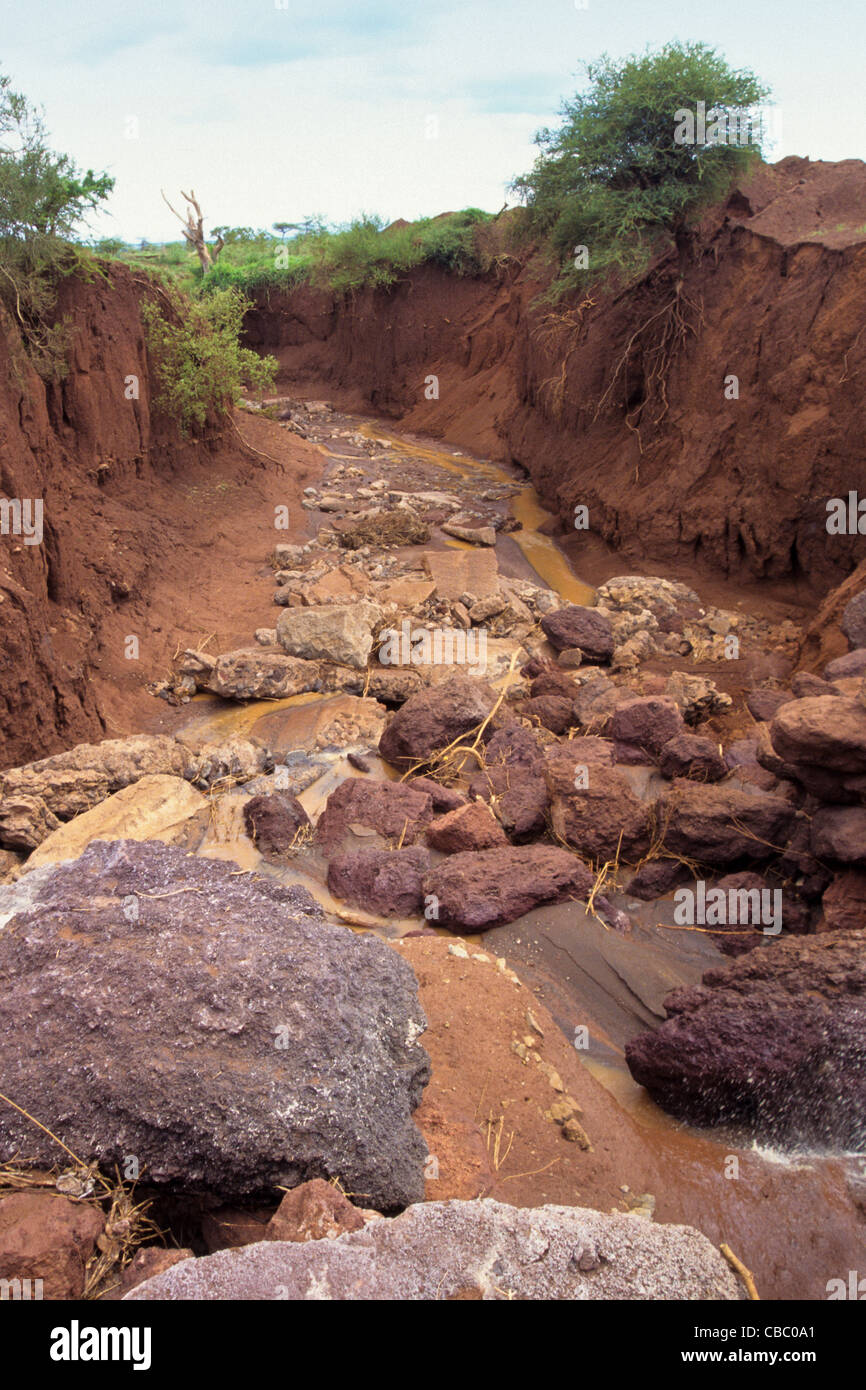 Gully Erosion durch Verlust der Vegetationsdecke und abfließenden Wassers, Kilimanjaro-Region, Tansania Stockfoto