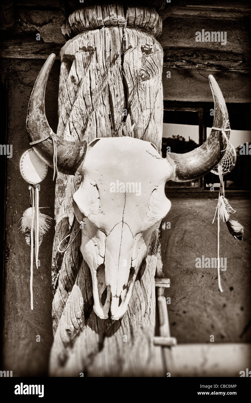 Kuh Schädel hängen an Taos Pueblo in New Mexico Stockfoto
