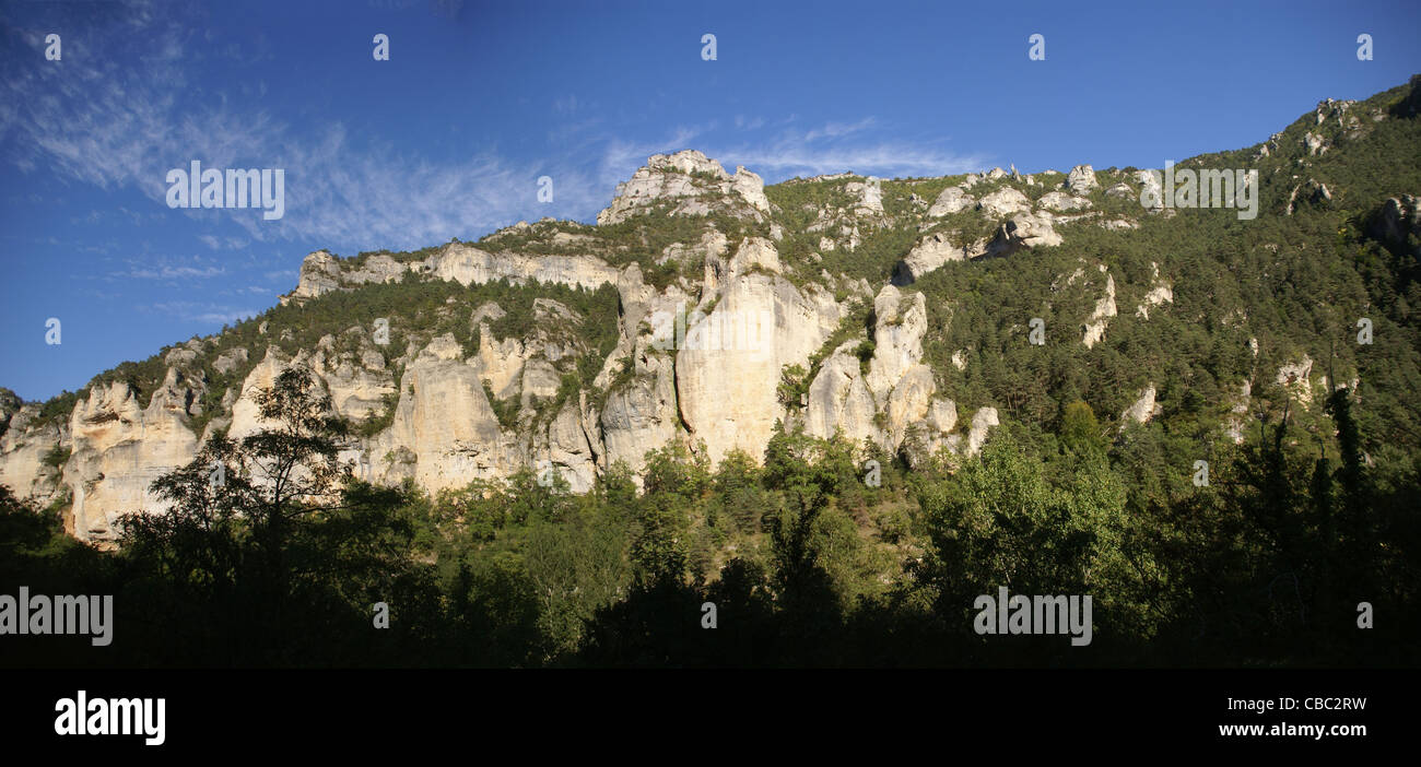 Kalksteinfelsen und Wald in der Nähe der Stadt Entraygues, Frankreich Stockfoto