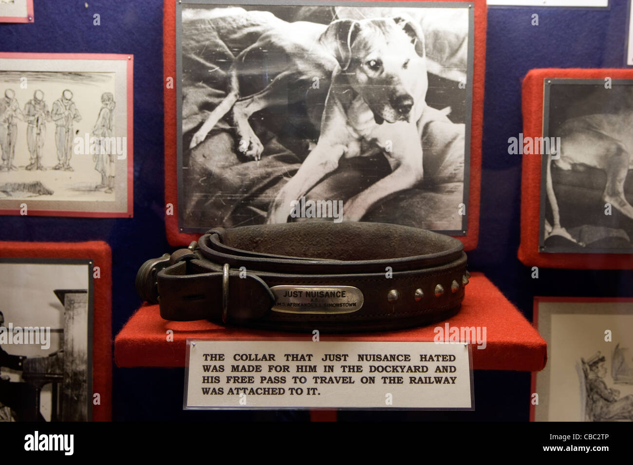 Simons Town Simons Town Museum "Just Nuisance" Ausstellung