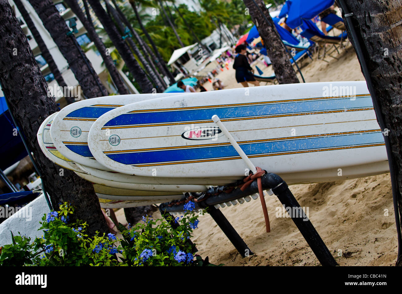 Surfbretter am Strand von Waikiki auf Oahu, Hawaii Stockfoto