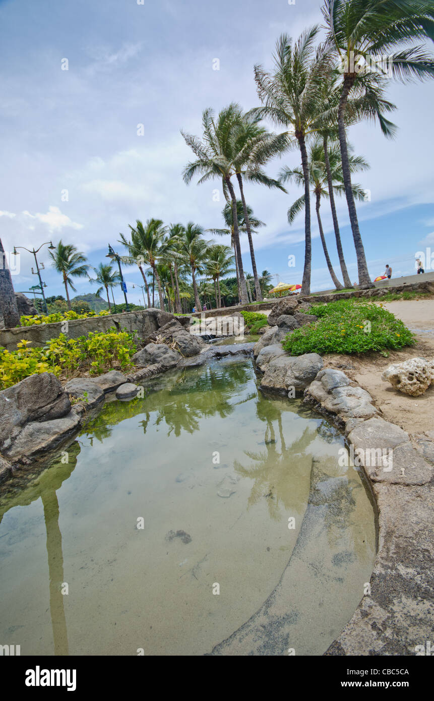 Waikikis Kapiolani Park, Honolulu, Oahu, Hawaii Stockfoto