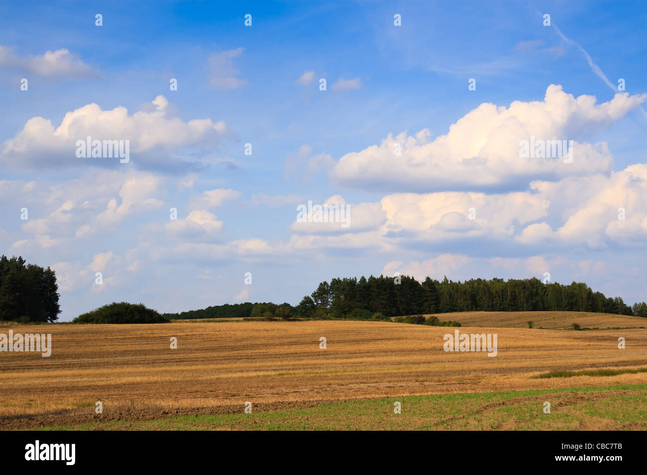 Agrarlandschaft von Westpolen. Stockfoto