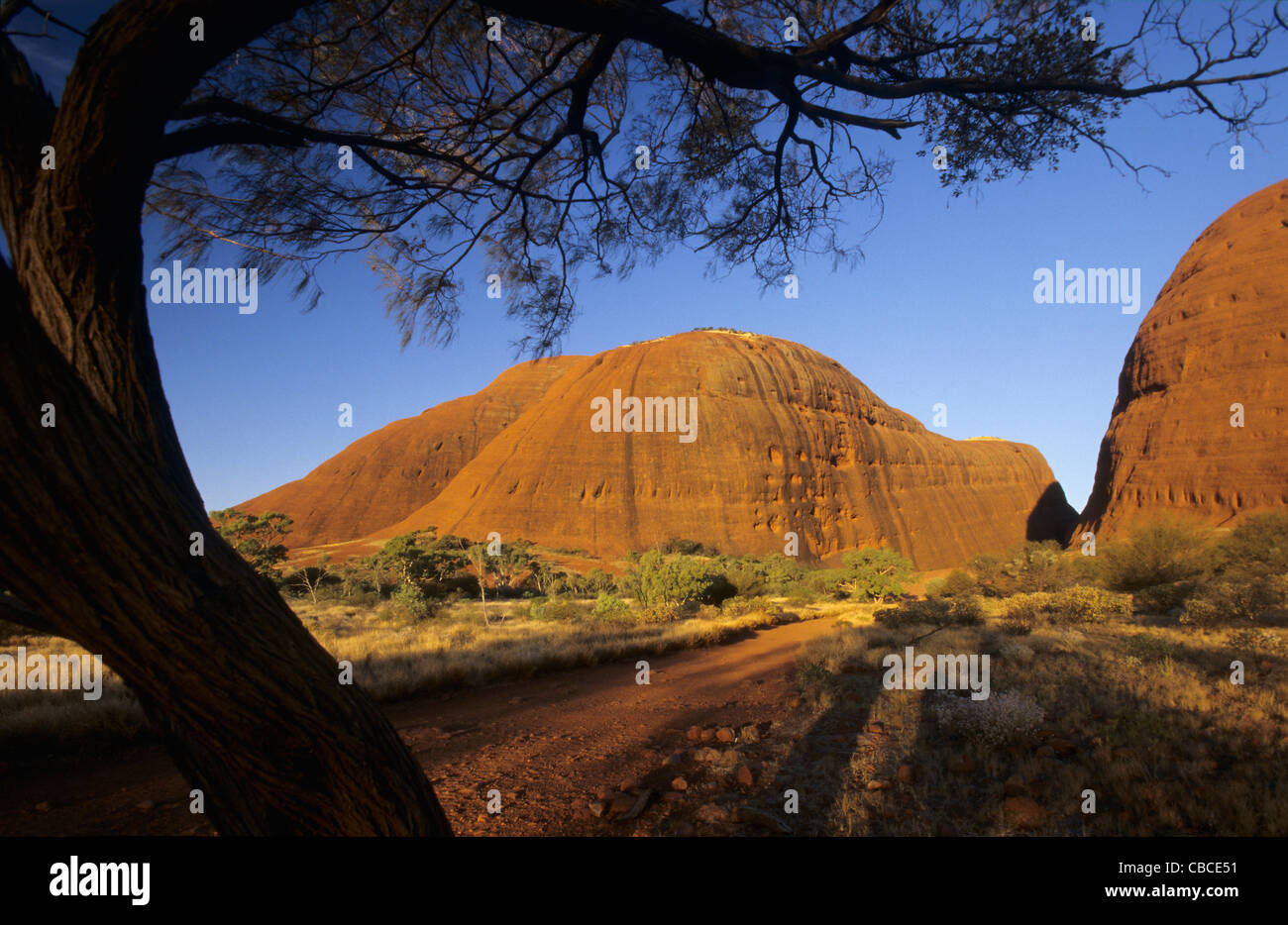 Olgas Reittiere Kata Tjuta, Northern Territory, Australien Stockfoto