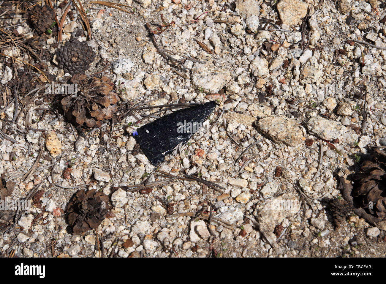 gebrochene Obsidian Pfeilspitze oder anderen Stein-Tool auf dem Boden Stockfoto