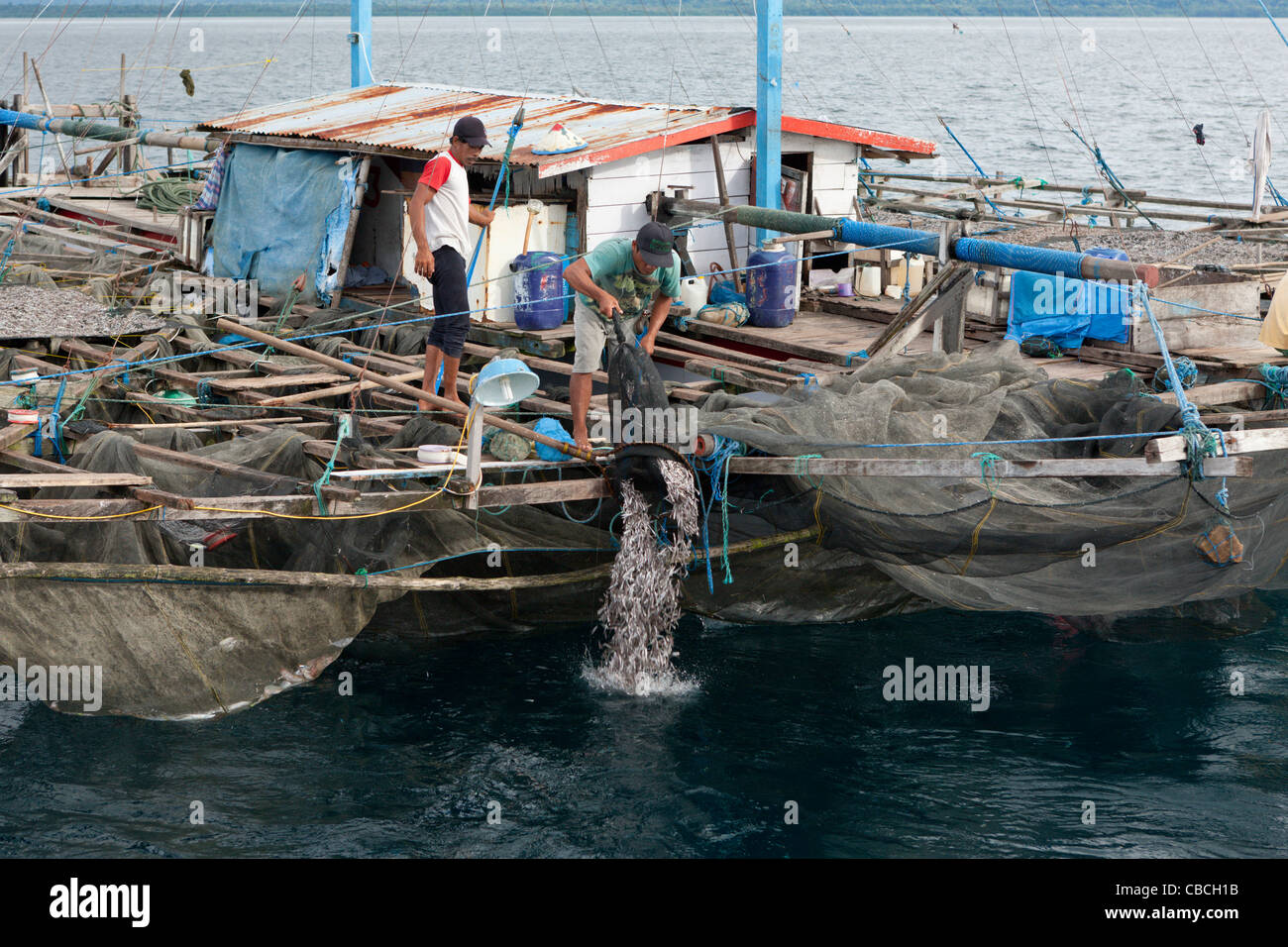 Fischer angeln Plattform Walhaie Hülseneinführung genannt, Bagan, Cenderawasih-Bucht, West-Papua, Indonesien Stockfoto