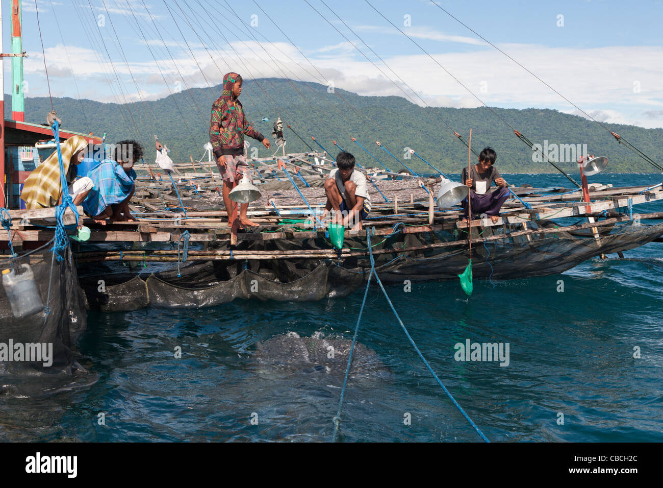 Fischer angeln Plattform Walhaie Hülseneinführung genannt, Bagan, Cenderawasih-Bucht, West-Papua, Indonesien Stockfoto