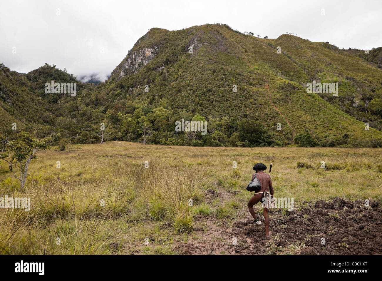 Dani Krieger, Baliem-Tal, West-Papua, Indonesien Stockfoto
