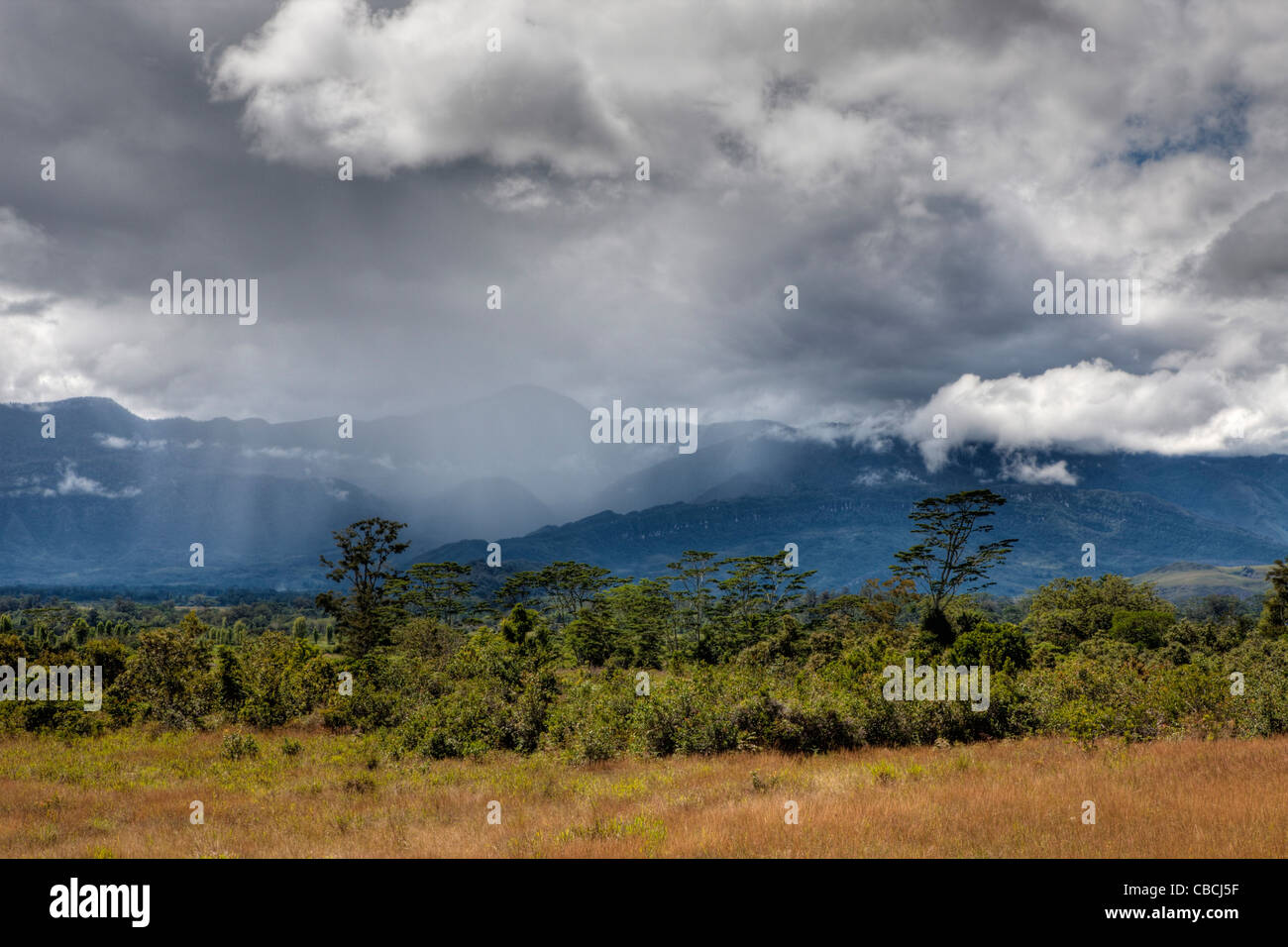 Impressionen der Baliem Tal, Baliem-Tal, West-Papua, Indonesien Stockfoto