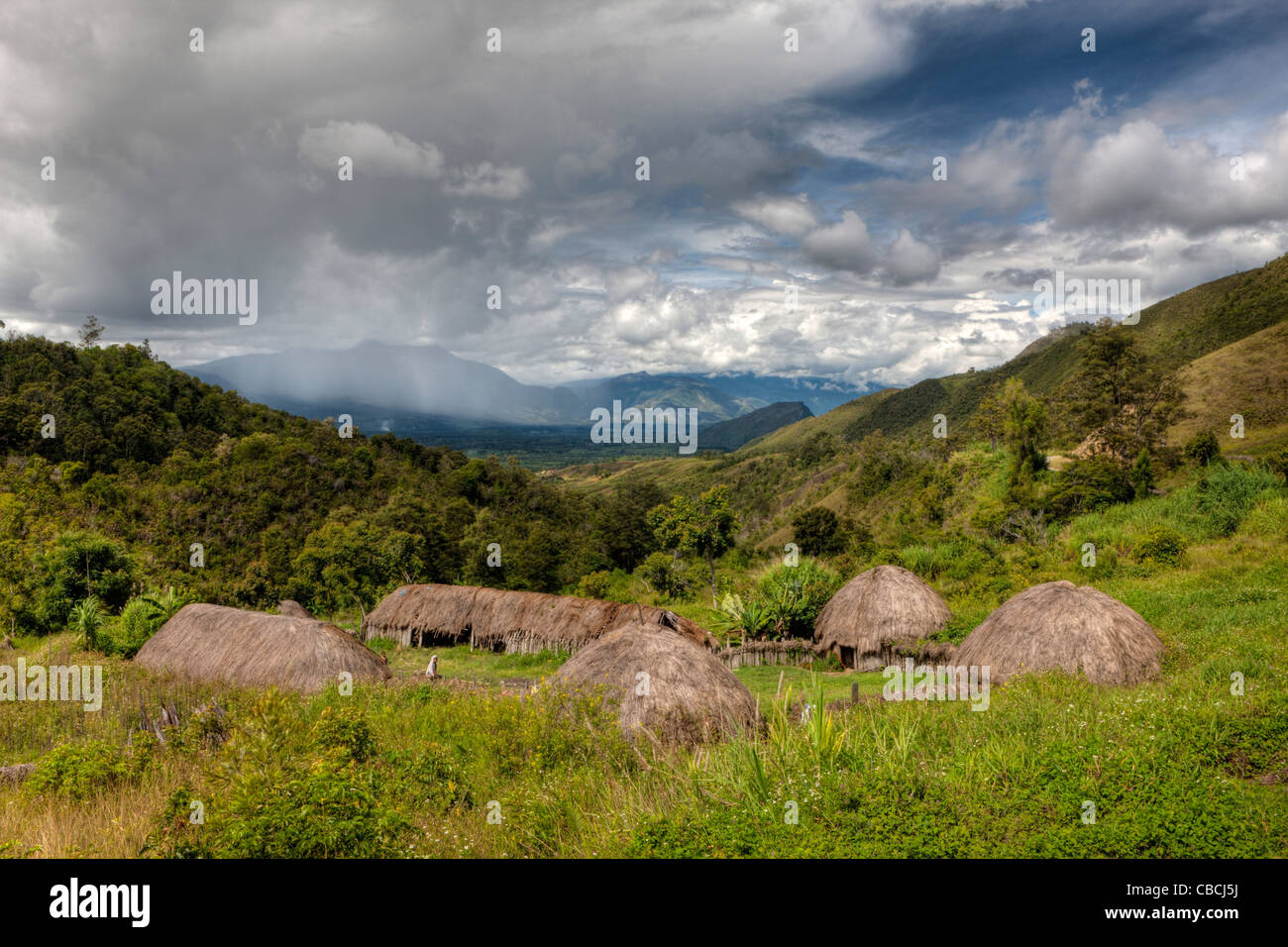 Traditionelles Dorf der Dani im Baliem Tal, Baliem-Tal, West-Papua, Indonesien Stockfoto