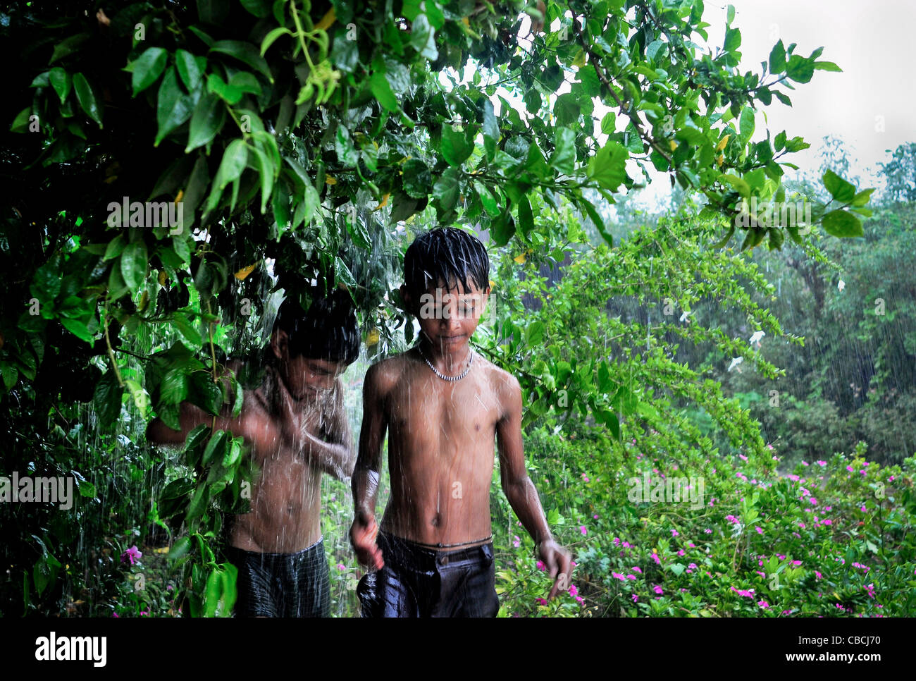 Monsunregen, Indien, Bhopal Stockfoto