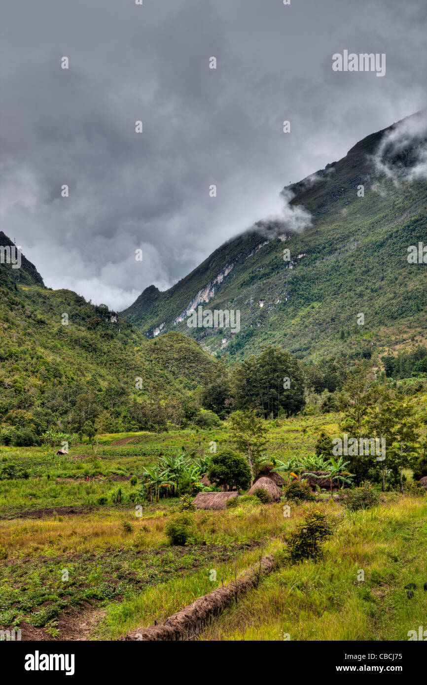 Traditionelles Dorf der Dani im Baliem Tal, Baliem-Tal, West-Papua, Indonesien Stockfoto