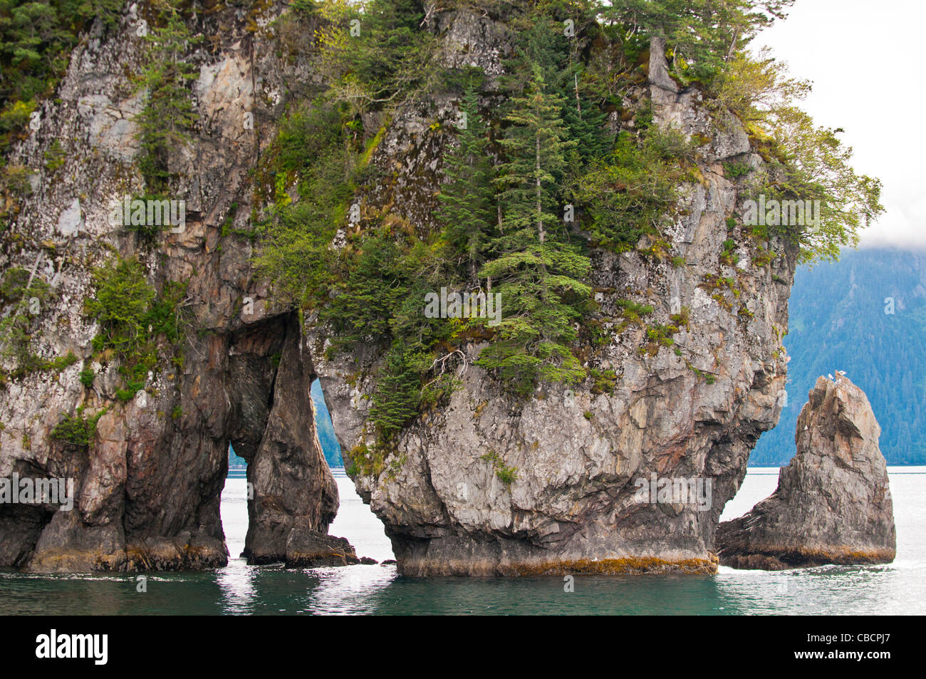 Drei-Loch-Punkt, Kenai Fjords Nationalpark, Seward, Alaska, Seward, Alaska Stockfoto