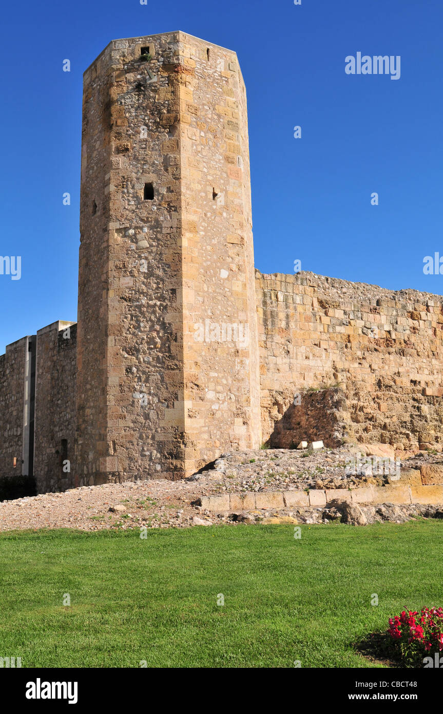 Ruinen des römischen Zirkus von Tarraco, Tarragona, Spanien. Stockfoto