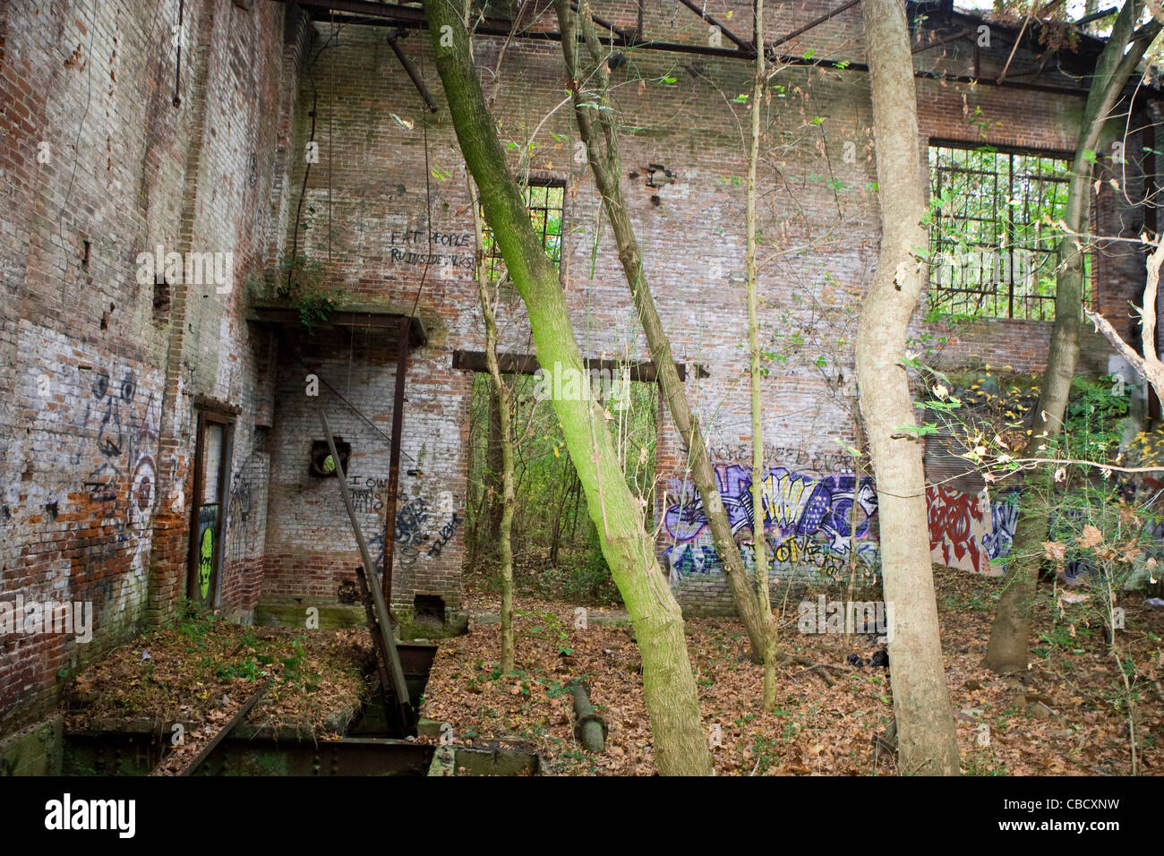 Die verlassenen Charlottesville Woollen Mills site hat seine Wände mit Graffiti und Bäume wachsen aus dem Boden abgedeckt. Stockfoto