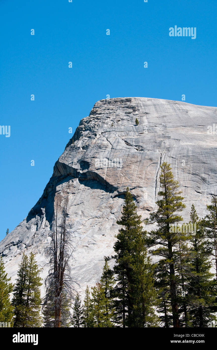 Lembert Dome, Hochland, Yosemite-Nationalpark, Kalifornien, USA. Foto Copyright Lee Foster. Foto # california120911 Stockfoto