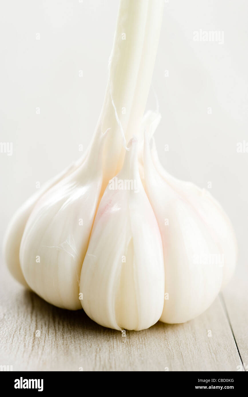 Neue Knoblauch Stockfoto