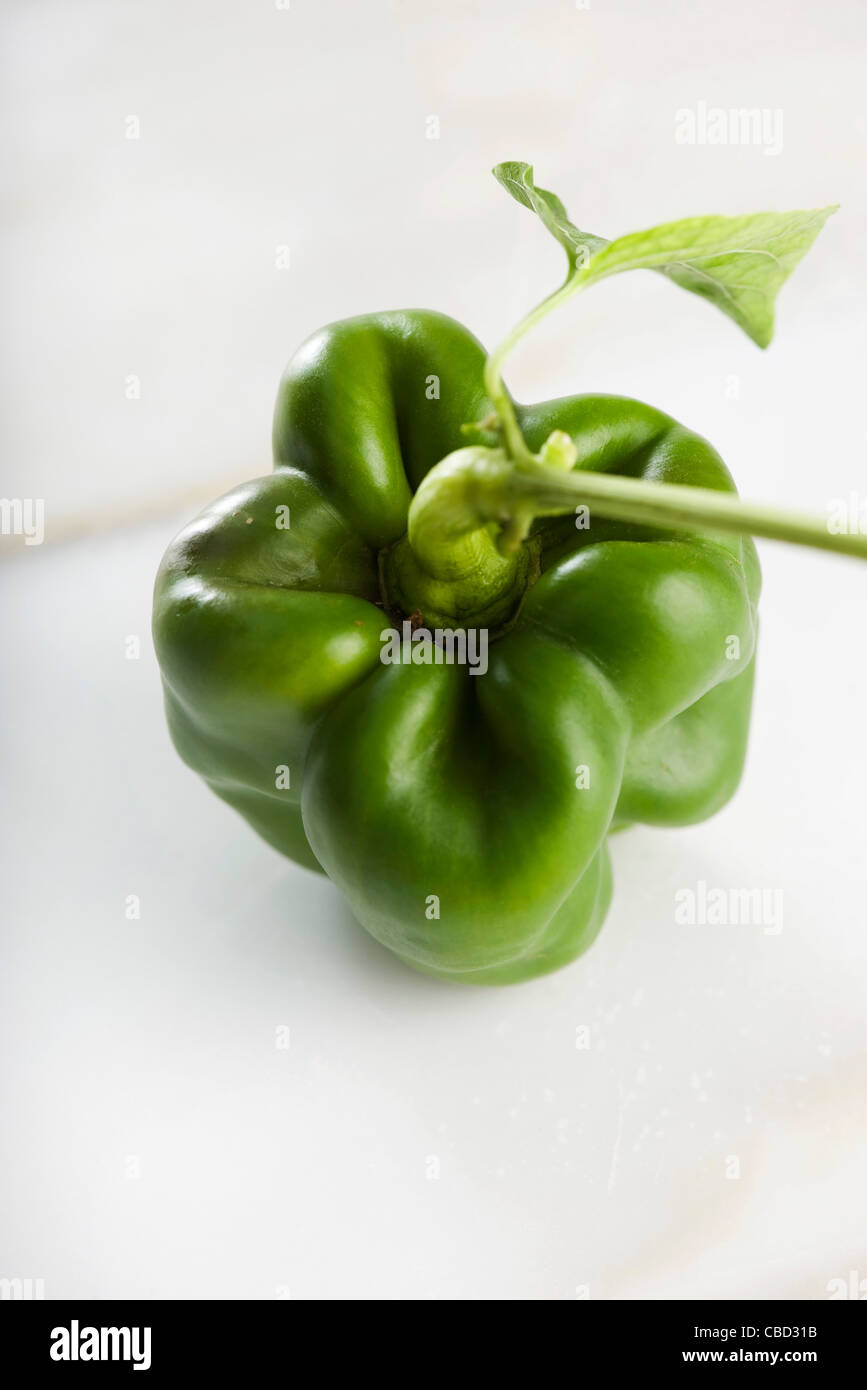 Grüne Paprika Stockfoto
