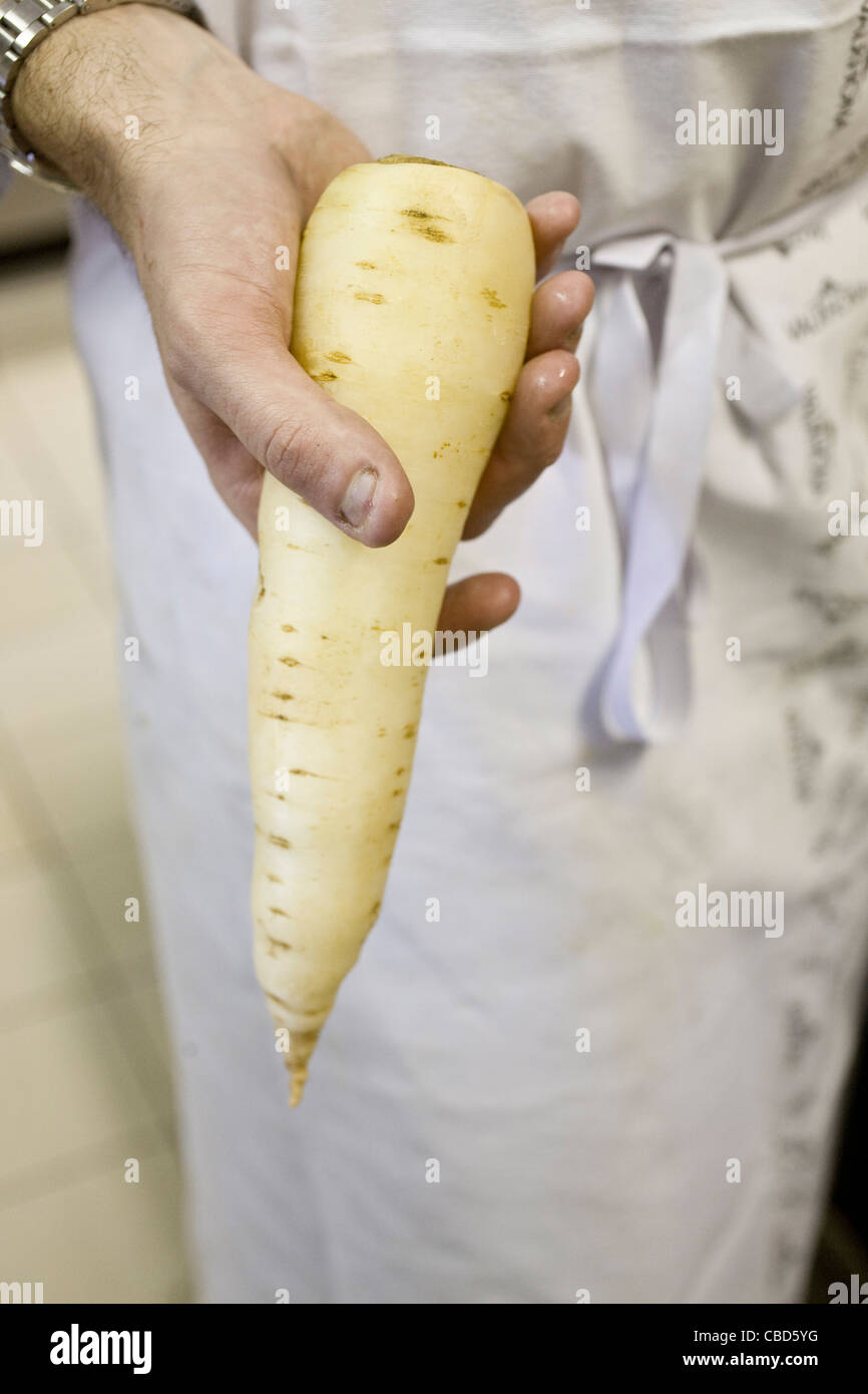 Koch Holding weißen Erbstück Karotte Stockfoto