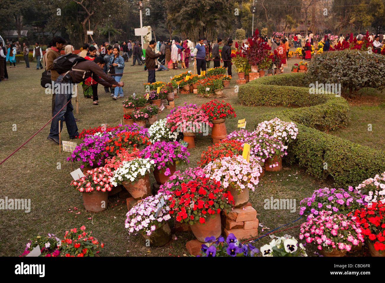 West-Bengalen, Indien, Kalkutta, Eden Gardens Volkspark, Kalkutta Horticultural Society-Show Stockfoto