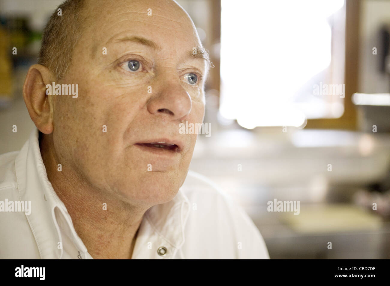 Seniorchef, portrait Stockfoto