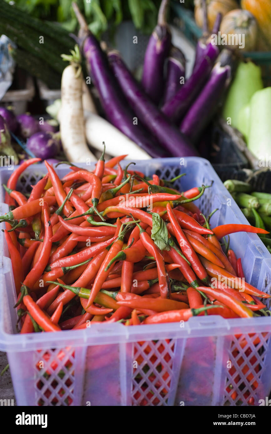 Kiste mit Chili-Schote mit anderen Gemüsesorten in Marktstand Stockfoto