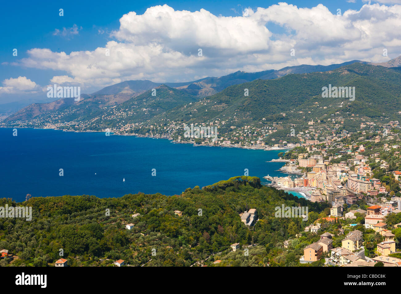 Erhöhte Ansicht eines Camogli, Riviera di Levante, Provinz Genua, Ligurien, Italien, Europa Stockfoto