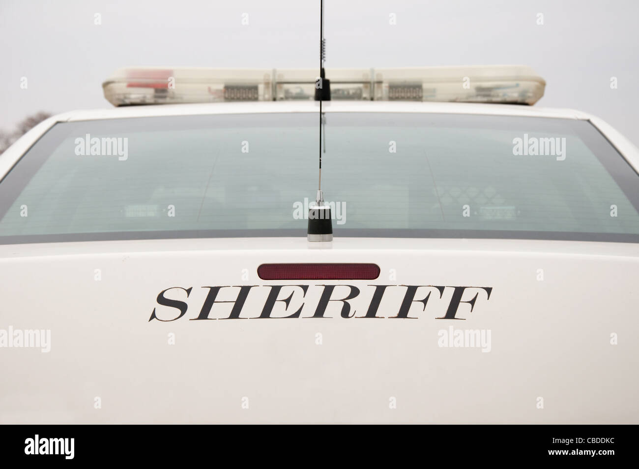 Hintere Ende des Sheriffs Streifenwagen Stockfoto