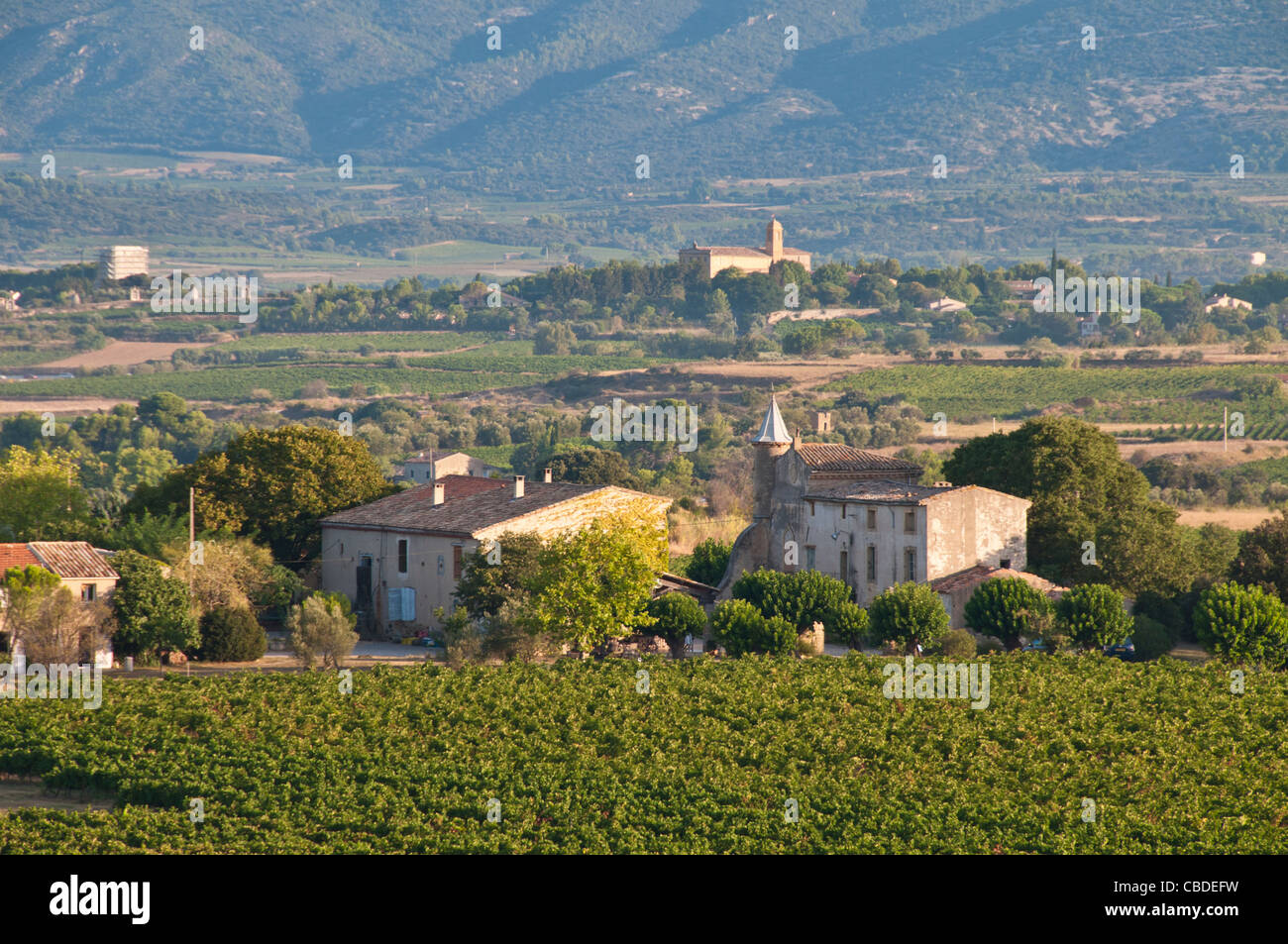 Landschaft mit Bergen im Hintergrund in der Nähe von Gignac in Hérault in Languedoc-Roussillon Stockfoto