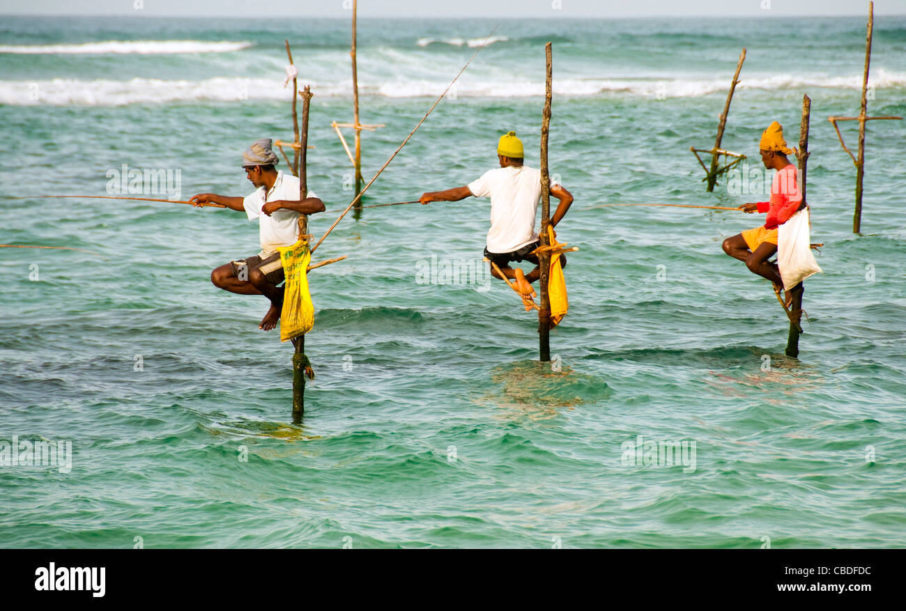 Sri Lanka, Dalawella, Indischer Ozean, Pol Fischer (MR) Stockfoto