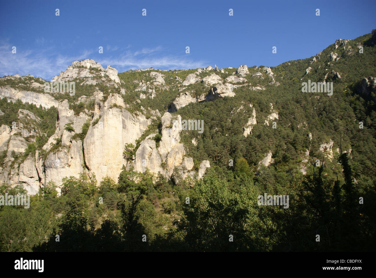 Kalksteinfelsen und Wald in der Nähe der Stadt Entraygues, Frankreich Stockfoto
