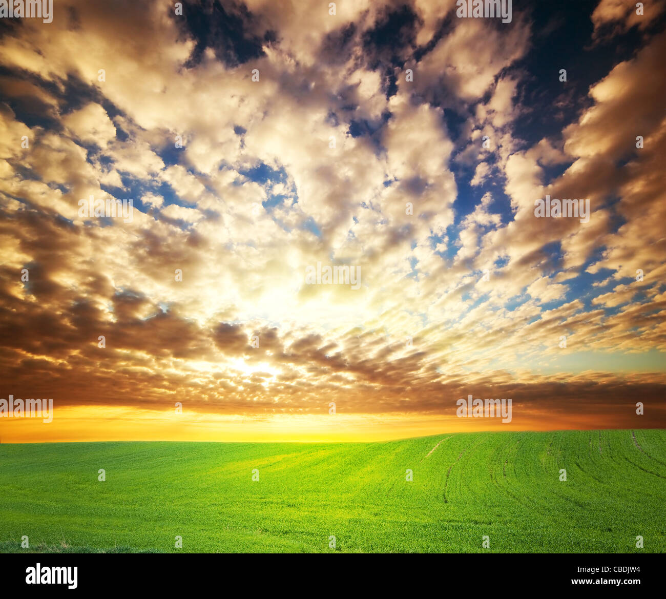 Farbenprächtigen Sonnenuntergang über grüne Wiese Stockfoto