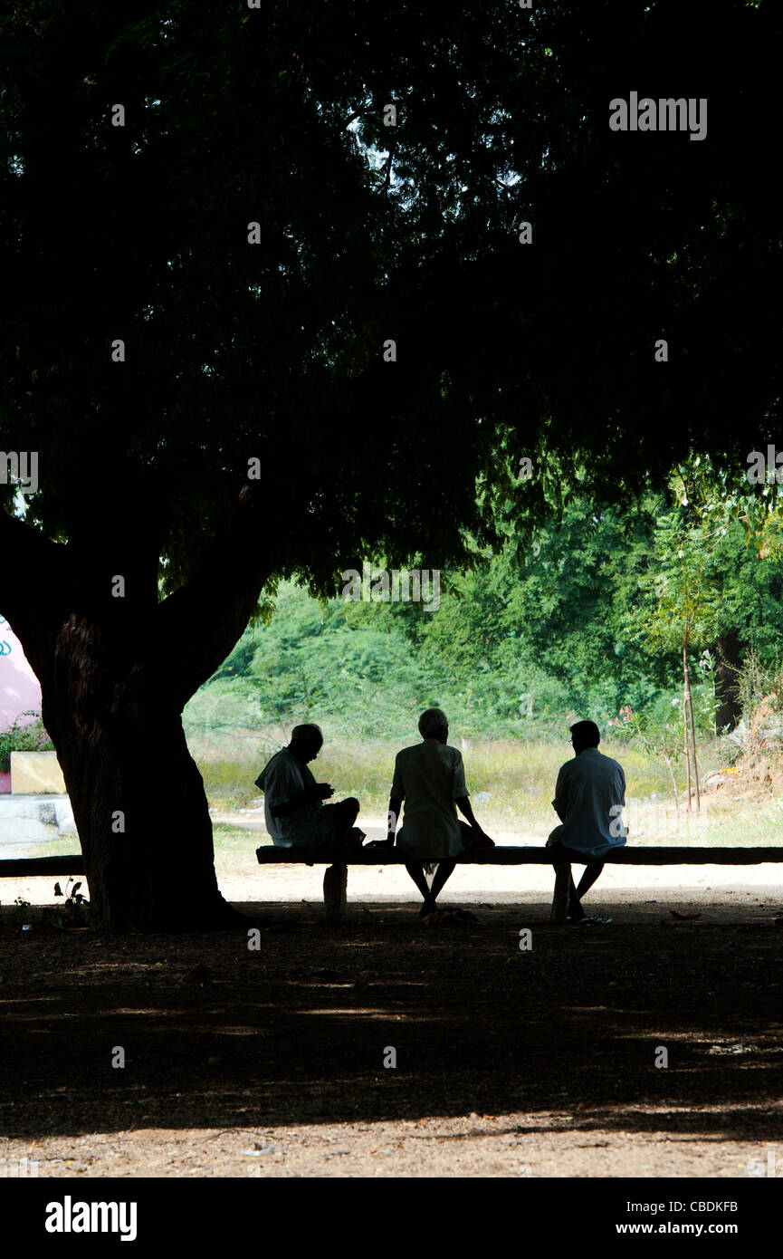 Drei indische Männer sitzen unter einem Baum in der indischen Landschaft sprechen. Silhouette. Andhra Pradesh, Indien Stockfoto