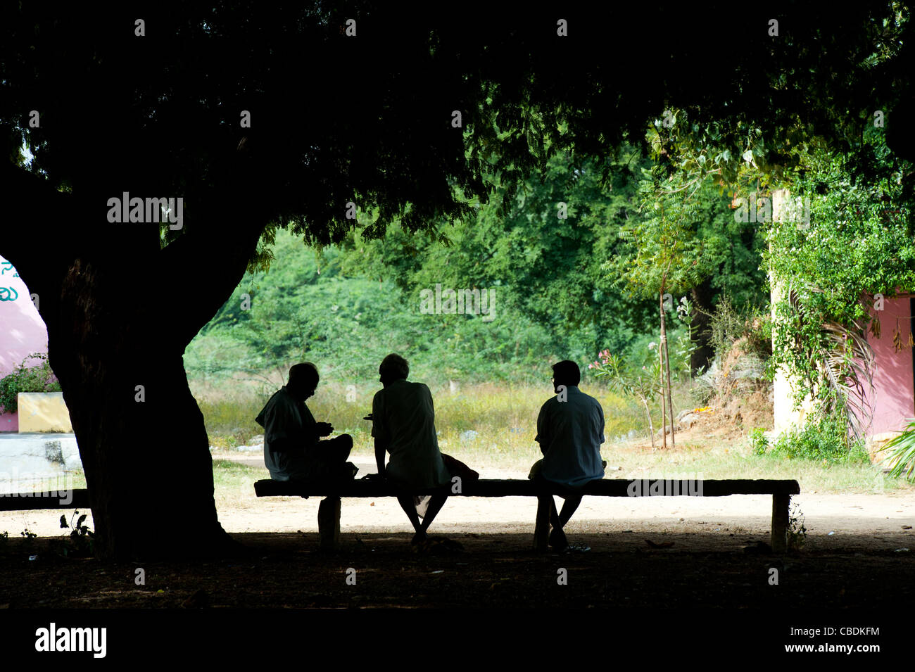 Drei indische Männer sitzen unter einem Baum in der indischen Landschaft sprechen. Silhouette. Andhra Pradesh, Indien Stockfoto