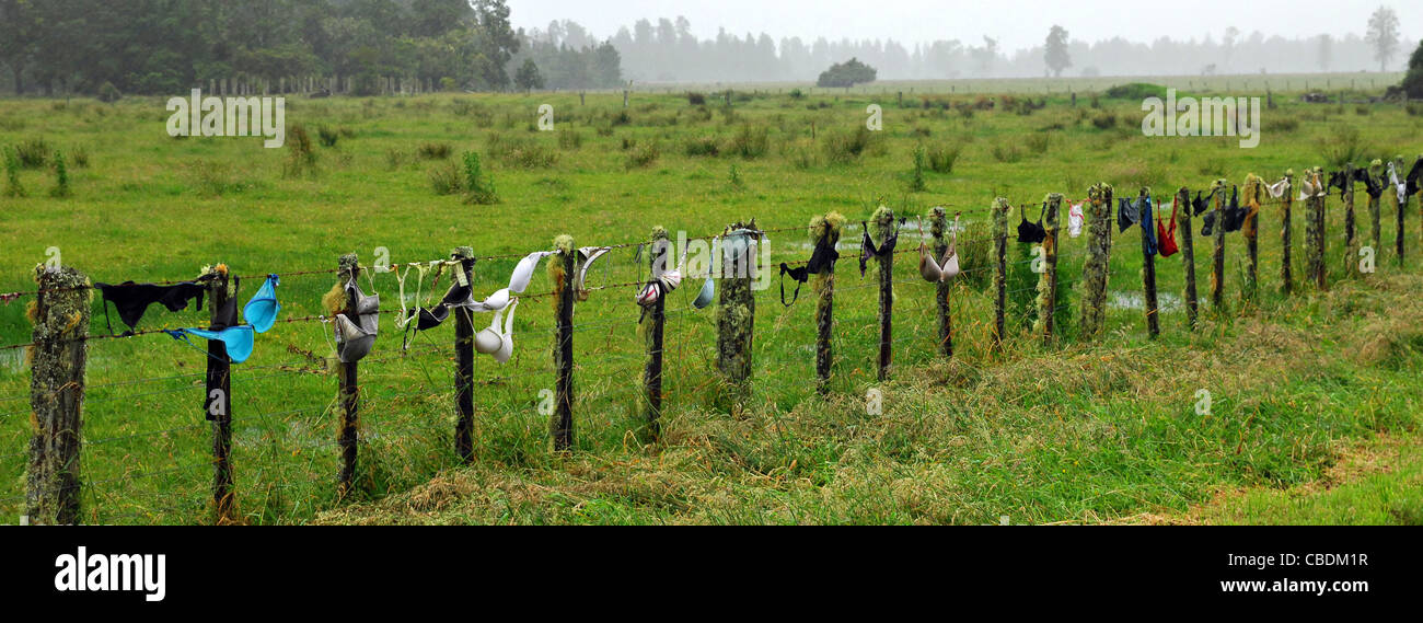 Bh zaun neuseeland Fotos und Bildmaterial in hoher Auflösung Alamy