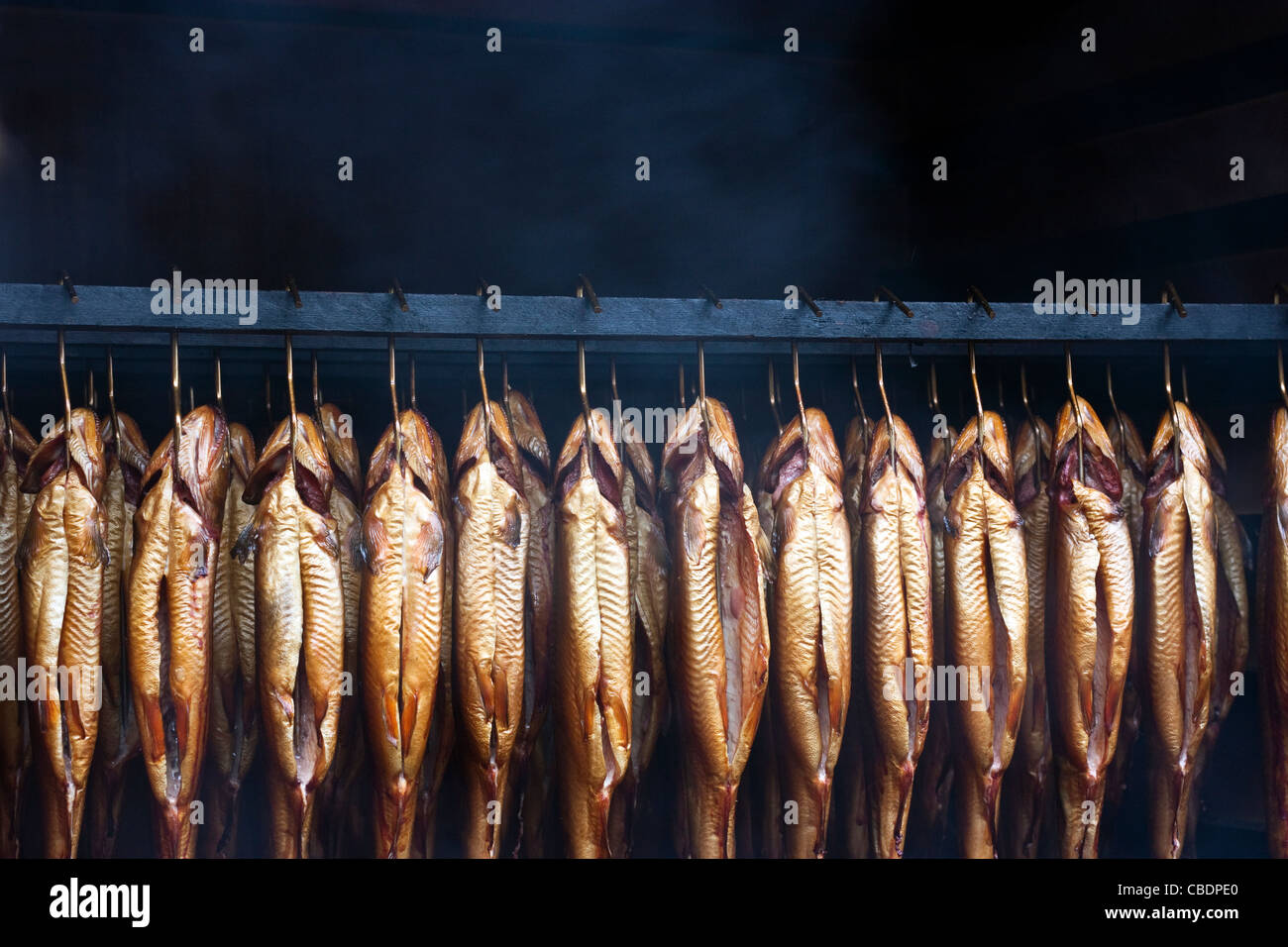 Bachforelle Fisch in einem traditionellen Ofen Rauchen Stockfoto