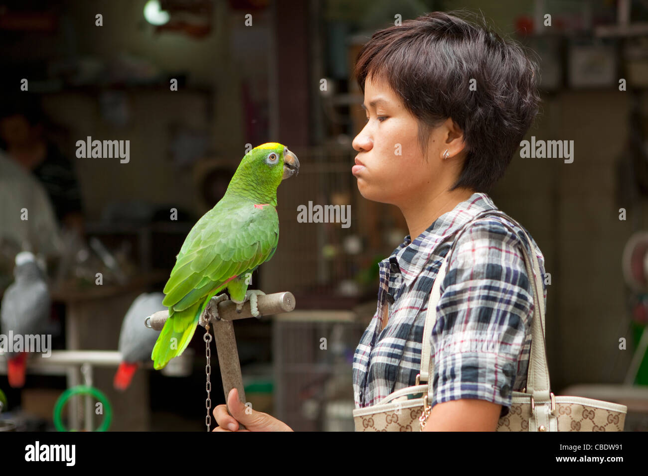 Krämer, Yoen Po Street Bird Garden und Blumenmarkt, Hong Kong, China Stockfoto