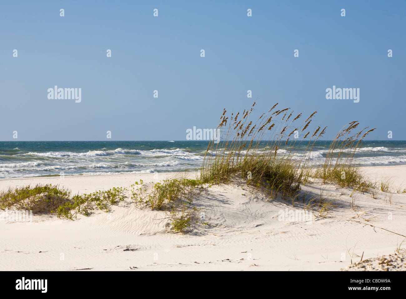 Sanddünen in der Perdido Key Bereich der Gulf Islands National Seashore in der Nähe von Pensacola, Florida Stockfoto