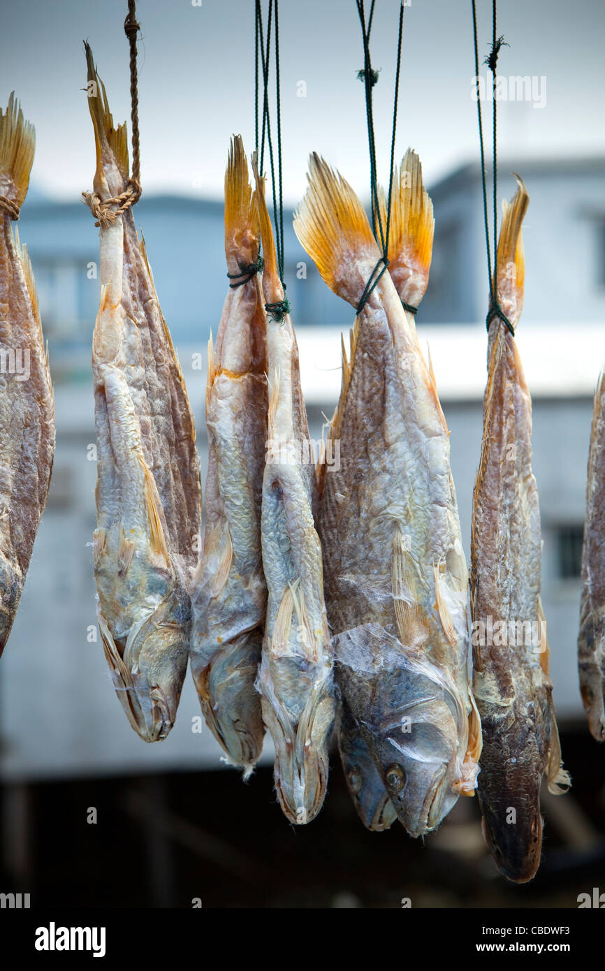 Luft trocknen Fisch, traditionelle Tanka Fischerdorf Tai O, Hong Kong, China Stockfoto