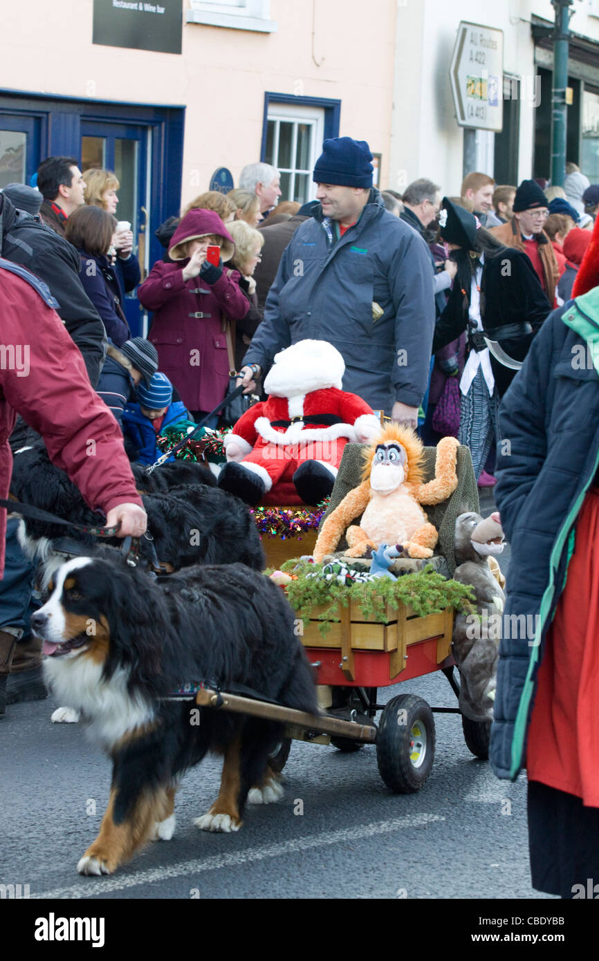 Berner Sennenhund ziehen einen Karren durch den Marktplatz für die