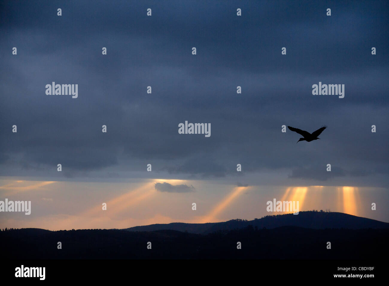 Sonnenuntergang in Knysna, Südafrika Stockfoto