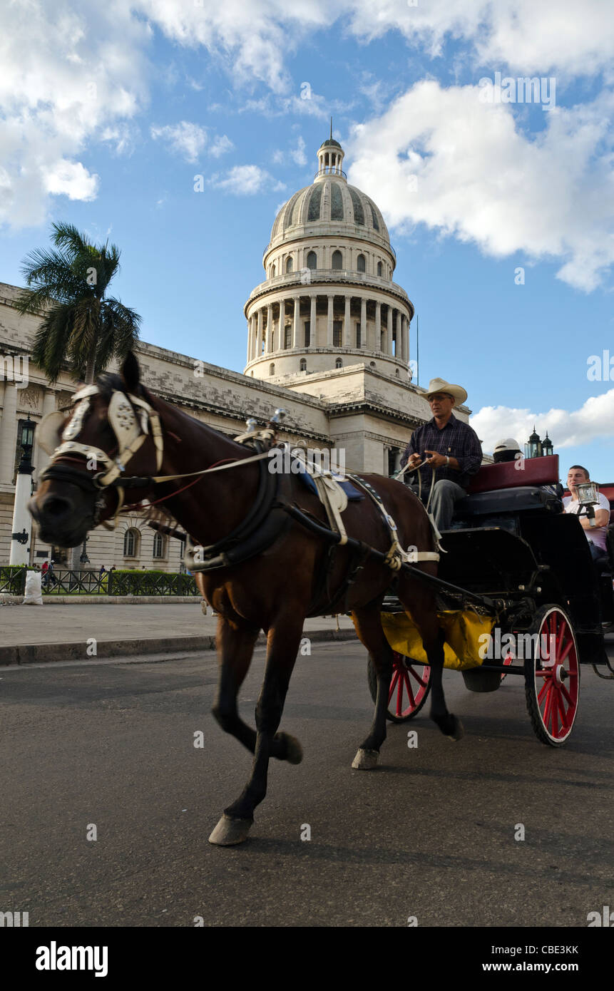 Pferdekutsche vor Capitolio Havanna Kuba Stockfoto