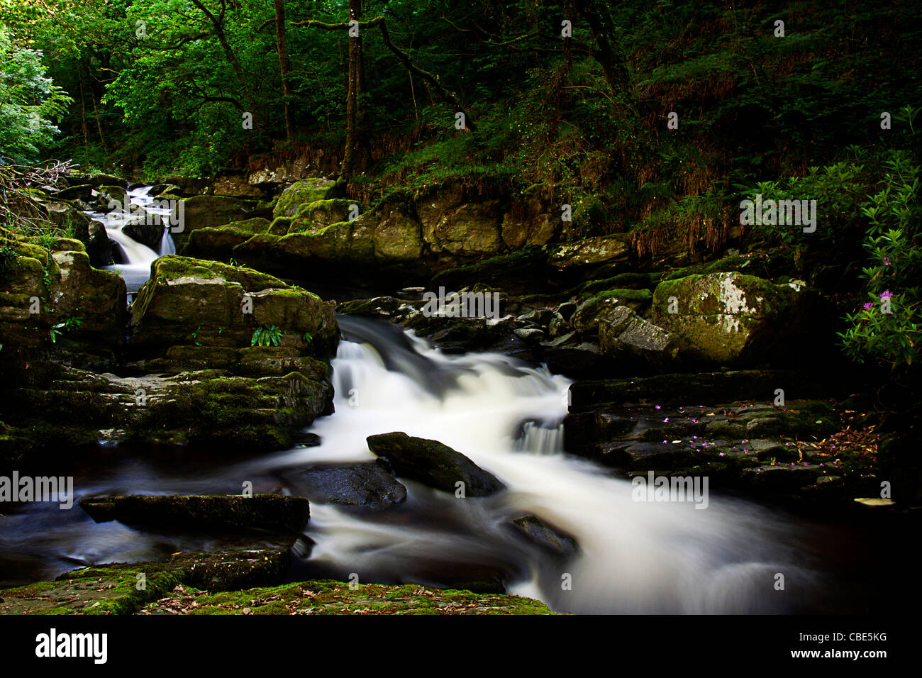 Wasserfall auf dem Fluss Lyn, North Devon, England, Großbritannien Stockfoto